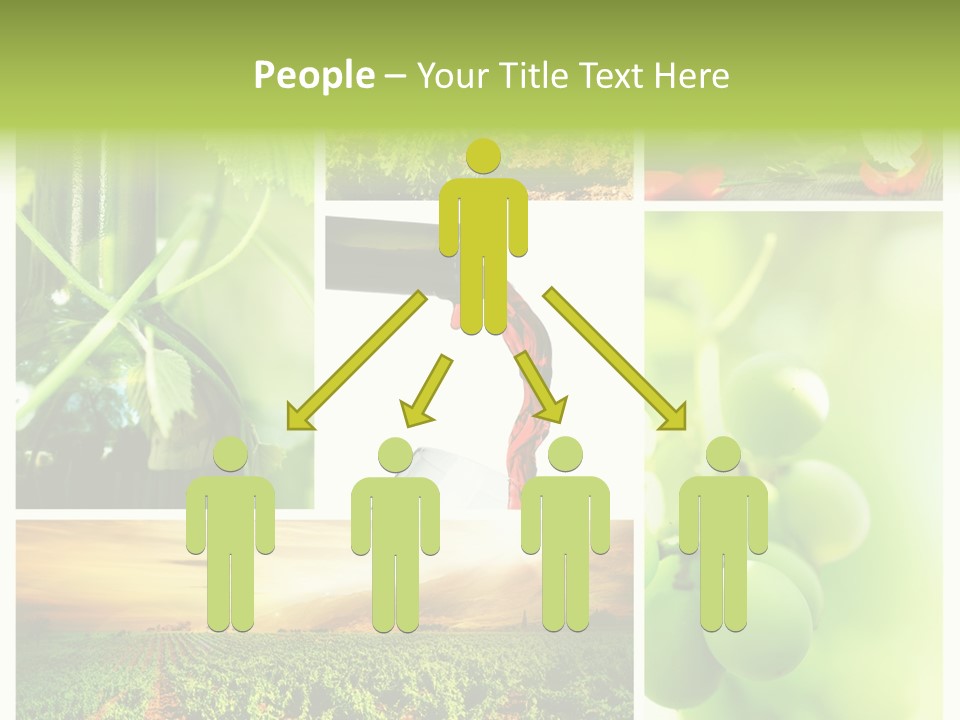 Wine Collage Motion PowerPoint Template