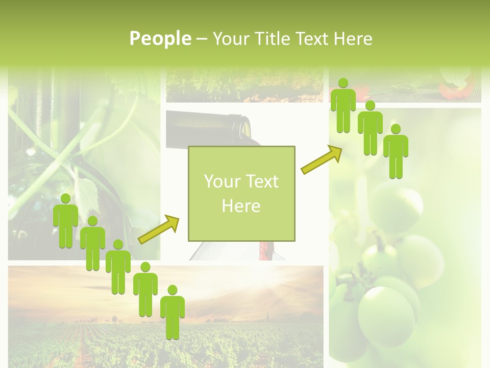 Wine Collage Motion PowerPoint Template