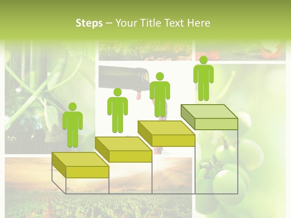 Wine Collage Motion PowerPoint Template