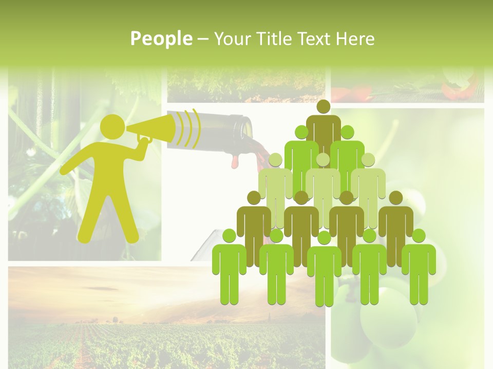 Wine Collage Motion PowerPoint Template