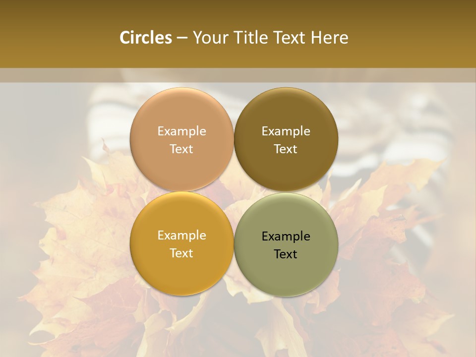 Park Only Autumn PowerPoint Template