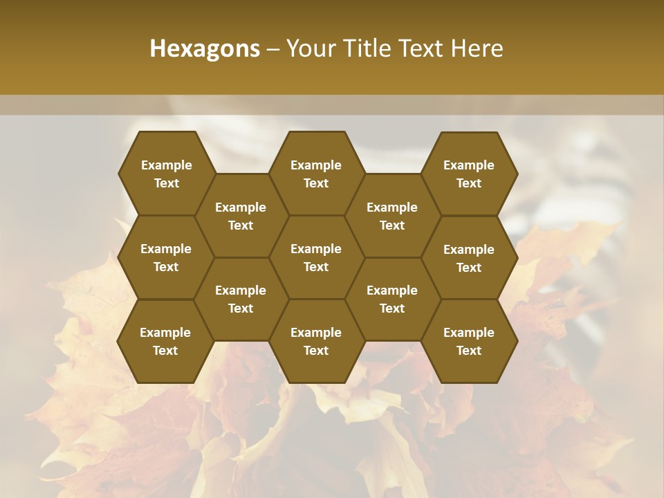 Park Only Autumn PowerPoint Template