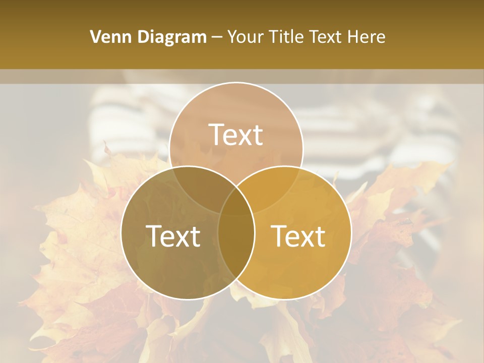 Park Only Autumn PowerPoint Template