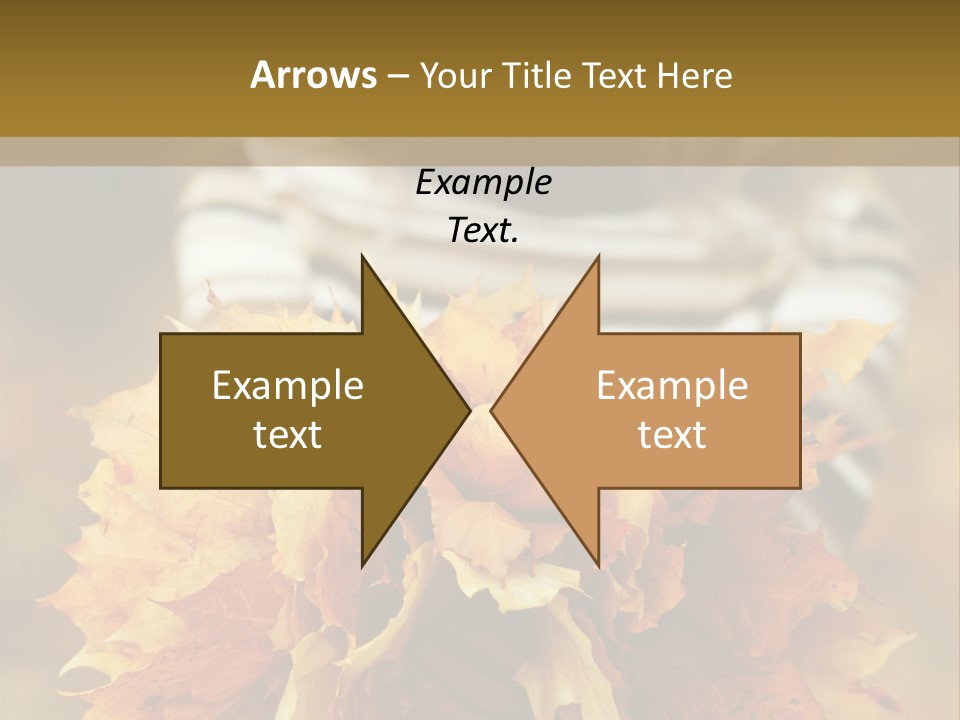 Park Only Autumn PowerPoint Template