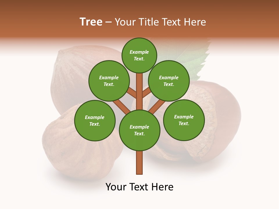 Organic Hazelnut Food PowerPoint Template