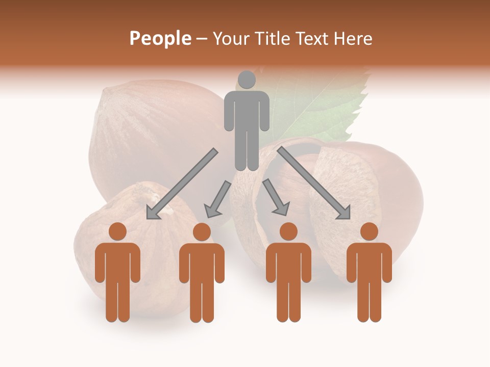Organic Hazelnut Food PowerPoint Template
