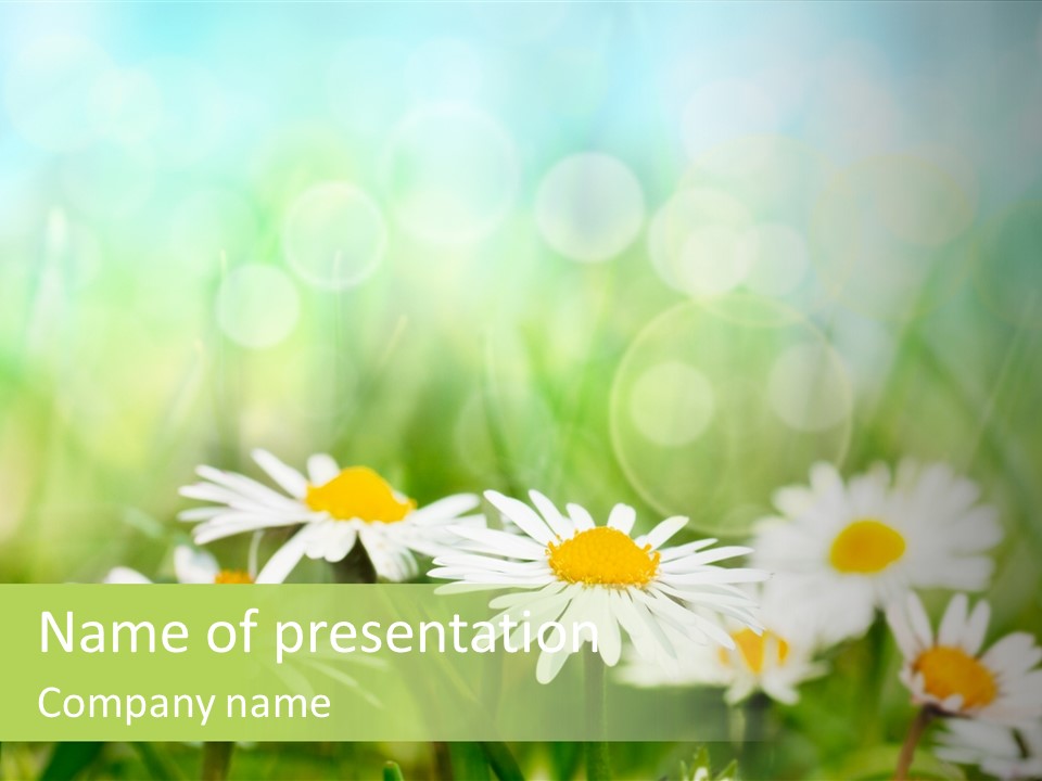 Lawn Foliage Bokeh PowerPoint Template