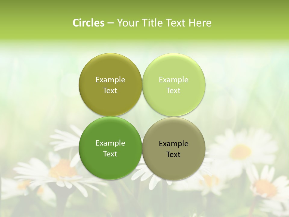 Lawn Foliage Bokeh PowerPoint Template