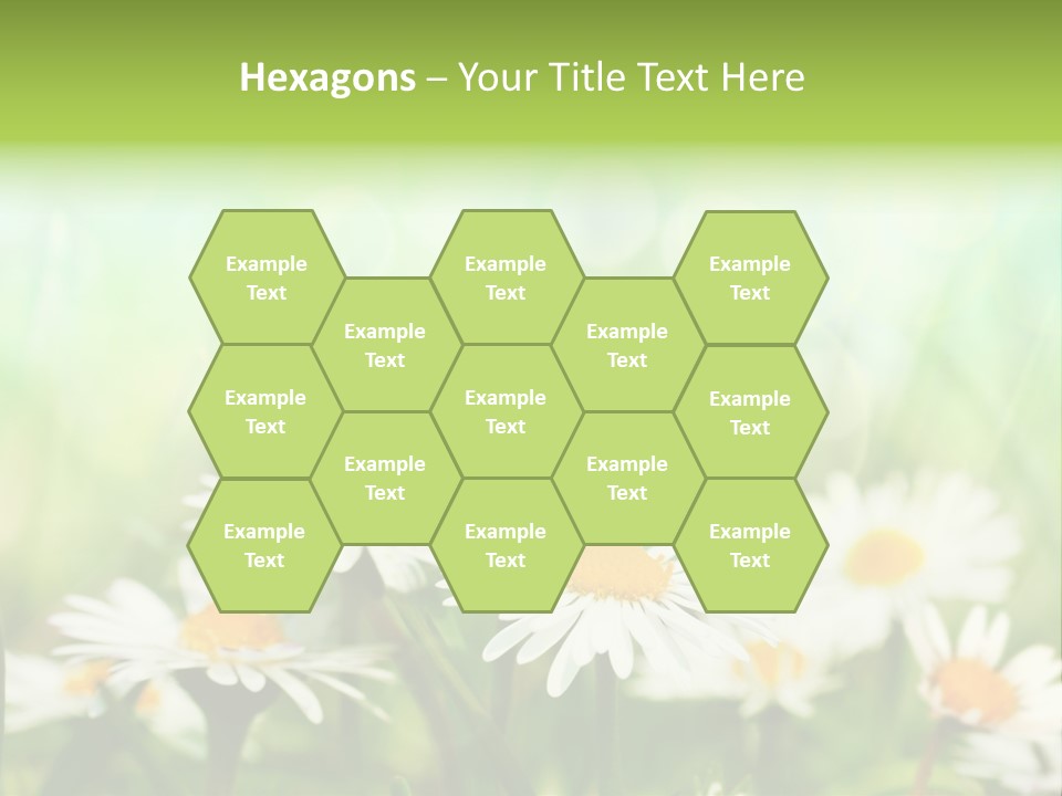 Lawn Foliage Bokeh PowerPoint Template