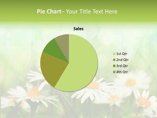 Lawn Foliage Bokeh PowerPoint Template