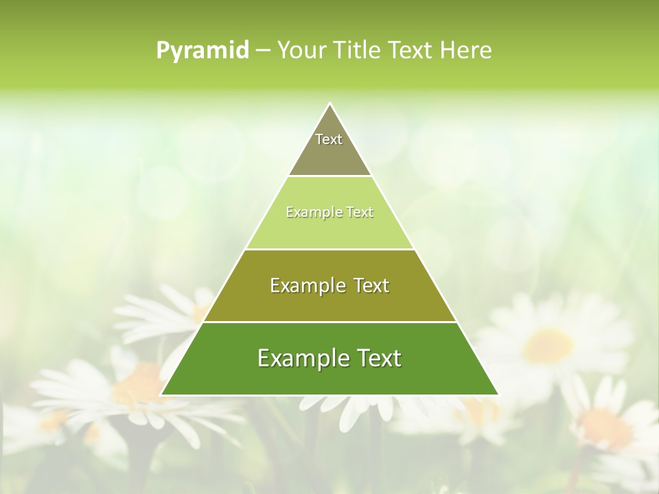 Lawn Foliage Bokeh PowerPoint Template