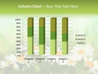 Lawn Foliage Bokeh PowerPoint Template