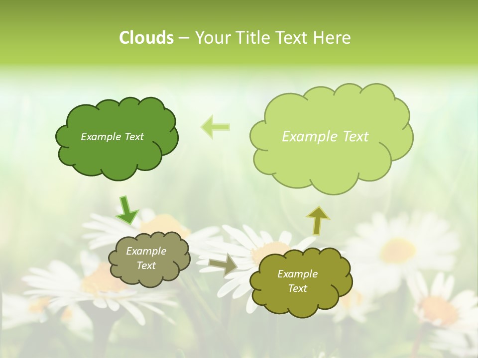 Lawn Foliage Bokeh PowerPoint Template