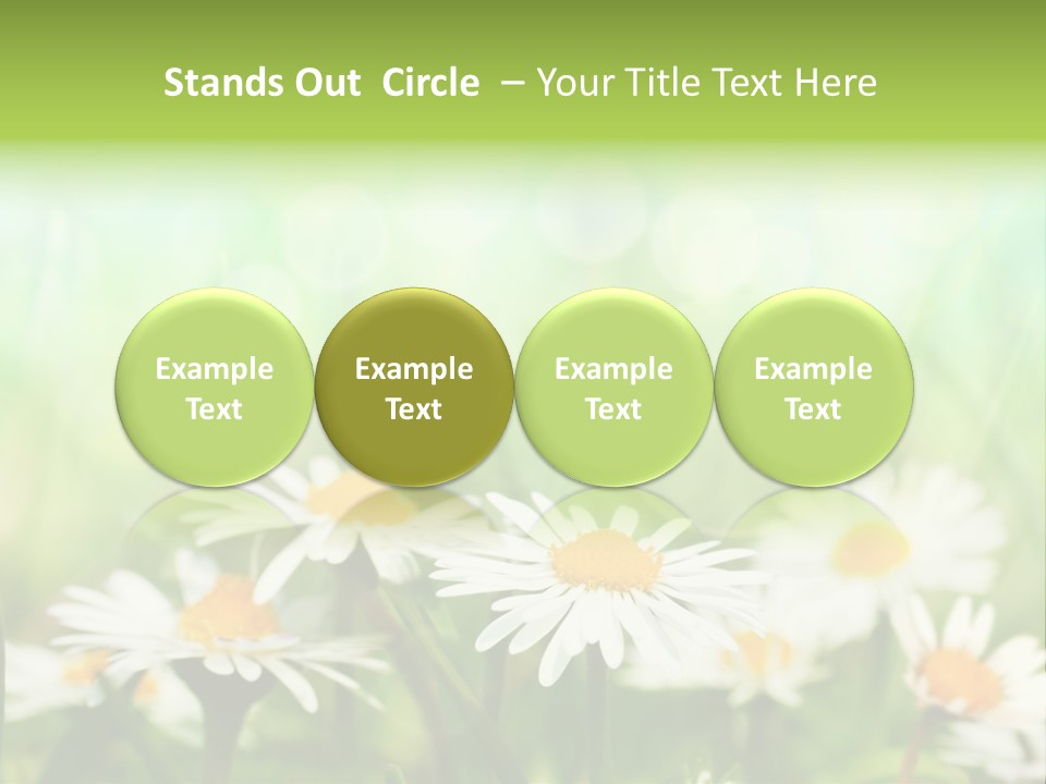 Lawn Foliage Bokeh PowerPoint Template