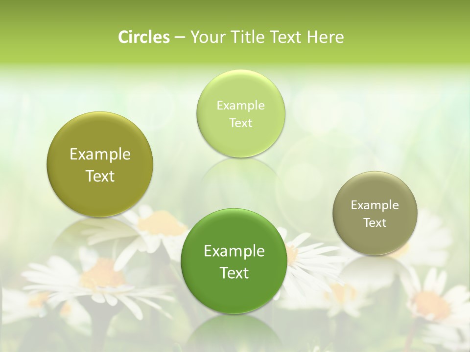 Lawn Foliage Bokeh PowerPoint Template