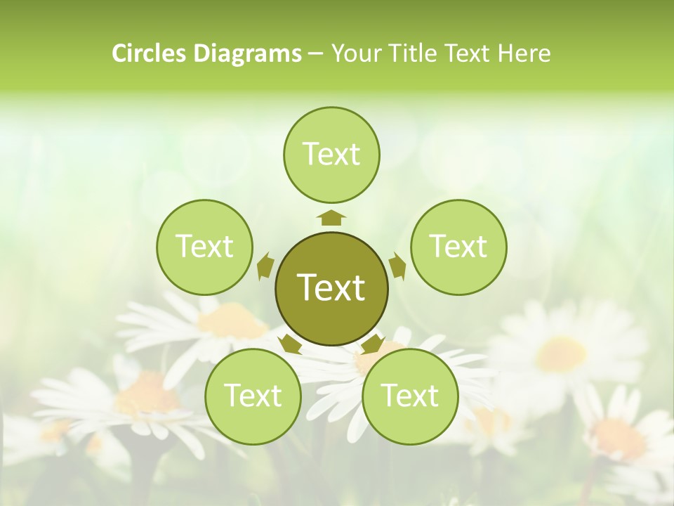 Lawn Foliage Bokeh PowerPoint Template