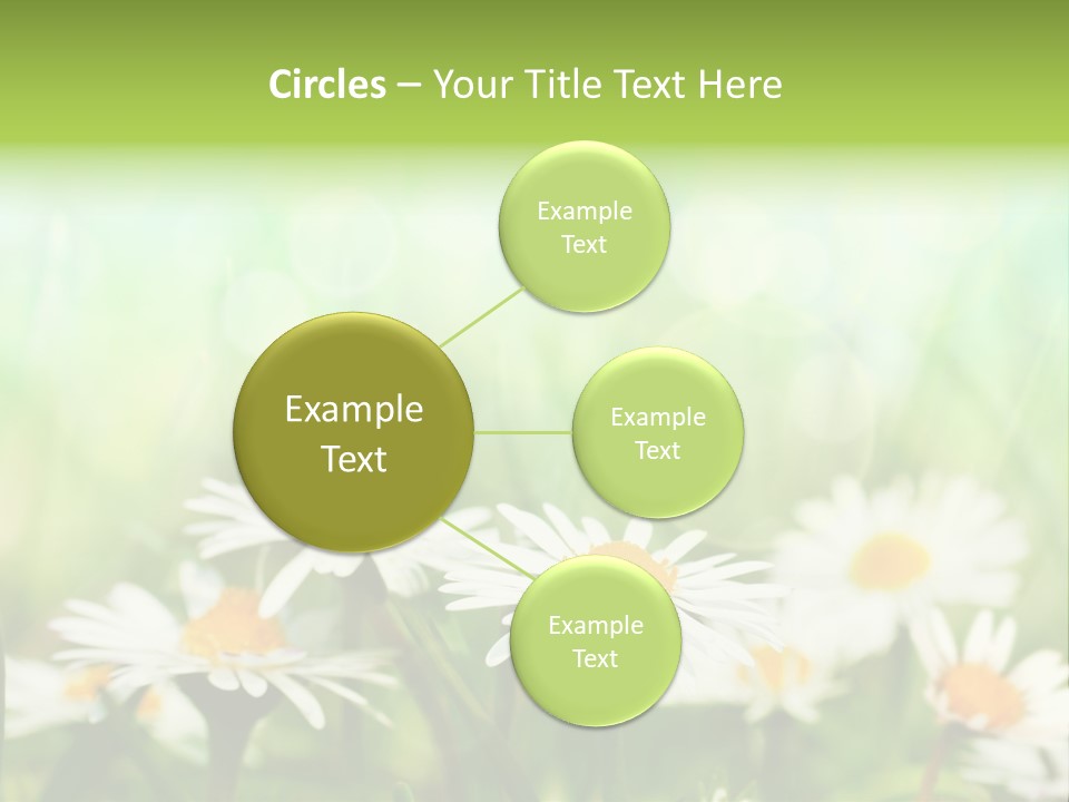 Lawn Foliage Bokeh PowerPoint Template