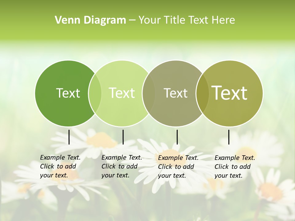 Lawn Foliage Bokeh PowerPoint Template