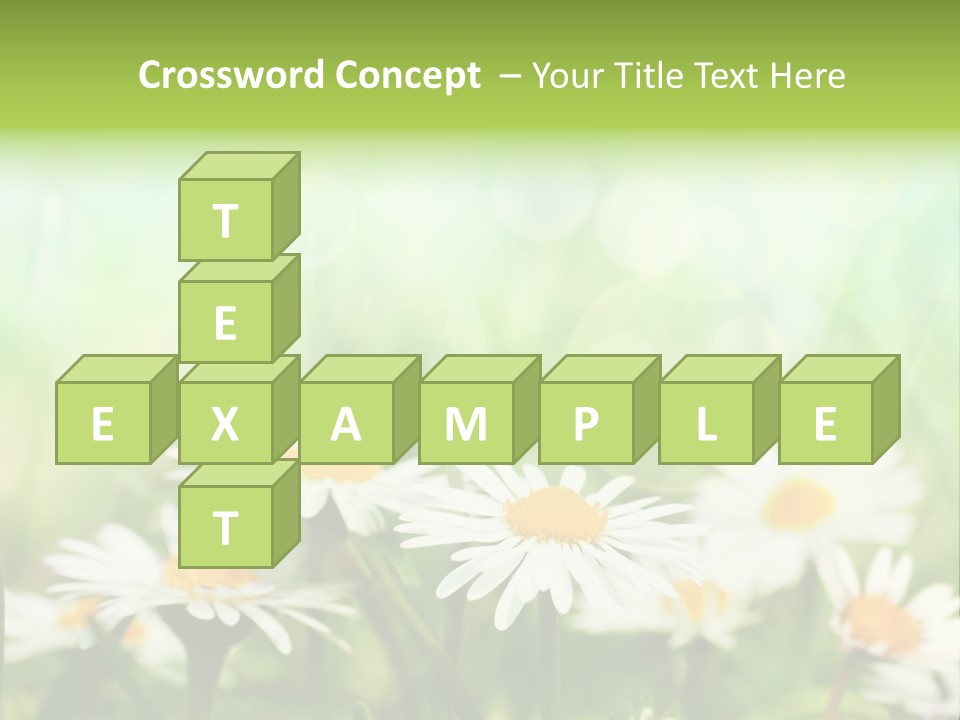 Lawn Foliage Bokeh PowerPoint Template