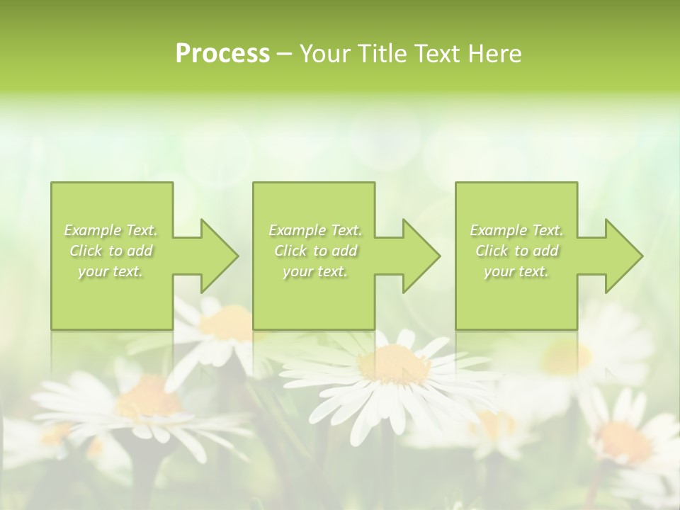 Lawn Foliage Bokeh PowerPoint Template