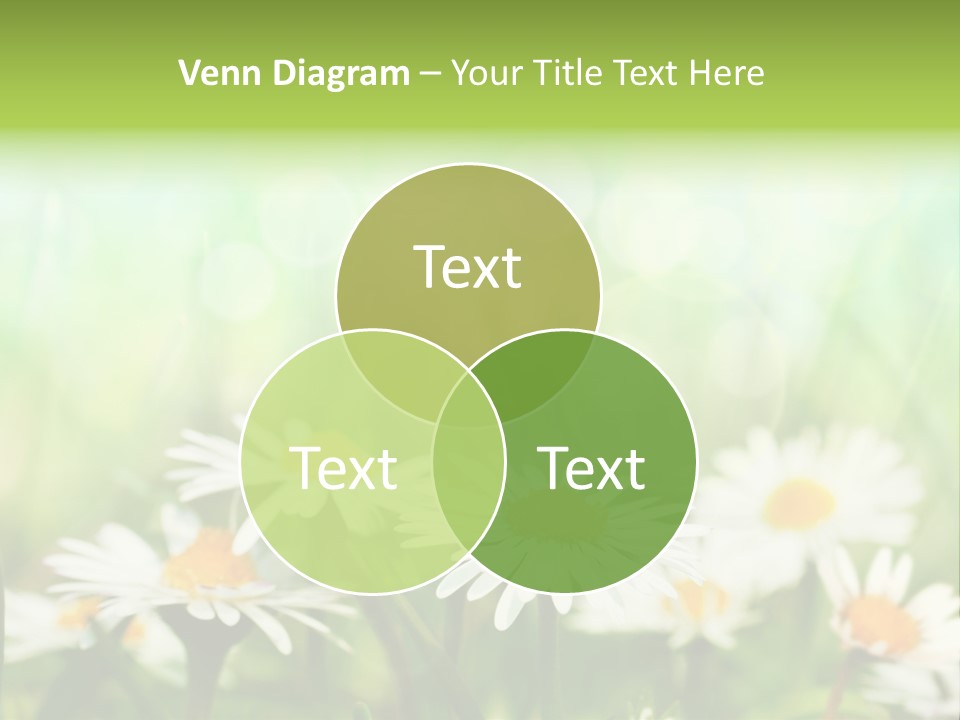 Lawn Foliage Bokeh PowerPoint Template