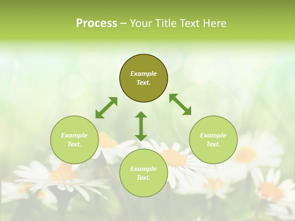 Lawn Foliage Bokeh PowerPoint Template