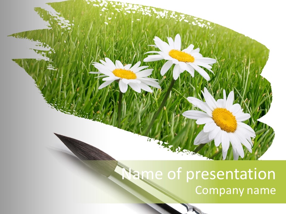 Meadow Draw Plant PowerPoint Template