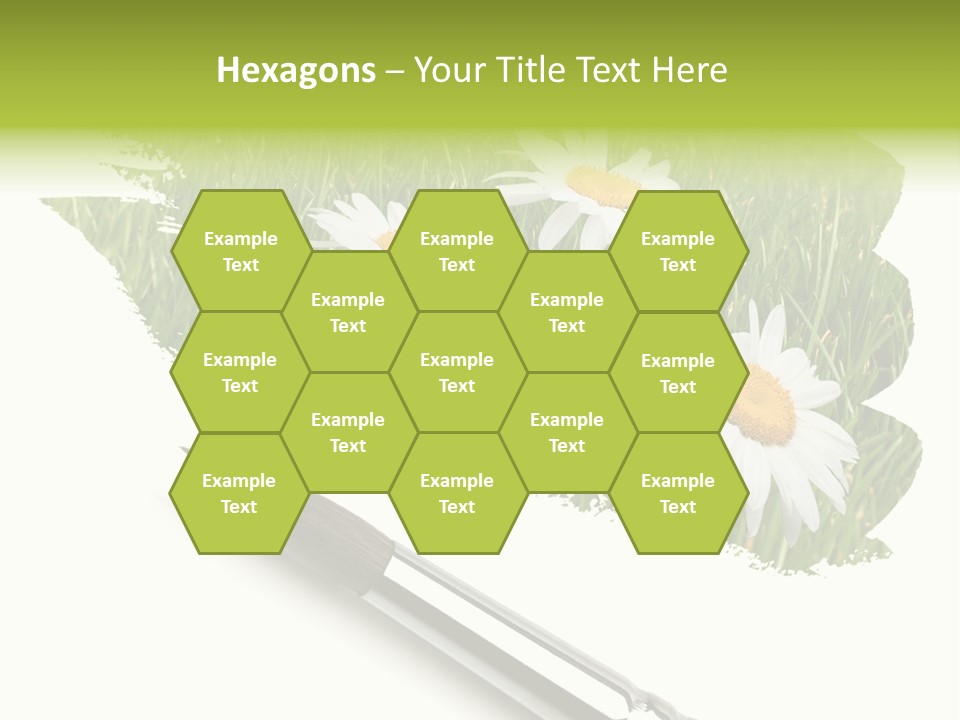 Meadow Draw Plant PowerPoint Template