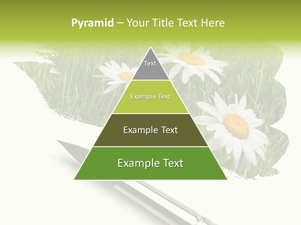Meadow Draw Plant PowerPoint Template
