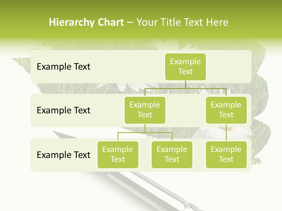 Meadow Draw Plant PowerPoint Template