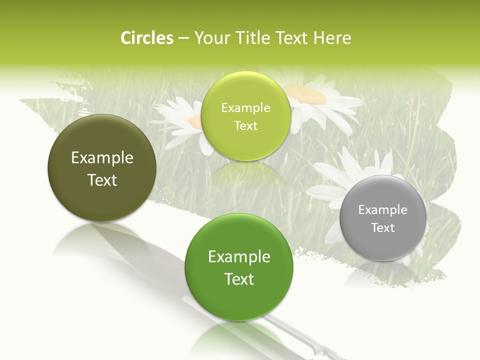 Meadow Draw Plant PowerPoint Template