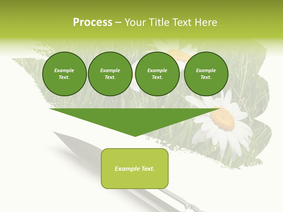 Meadow Draw Plant PowerPoint Template