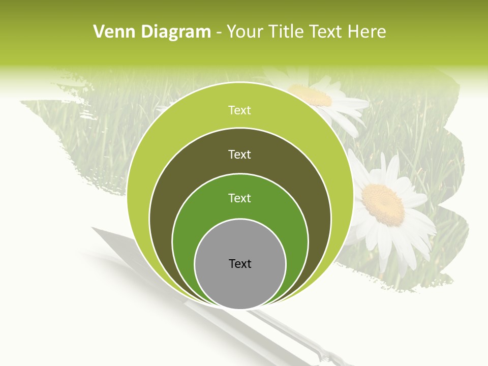 Meadow Draw Plant PowerPoint Template