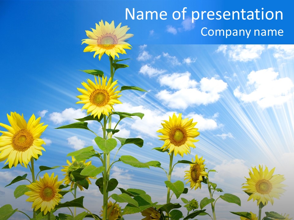 Background Plant Flower PowerPoint Template