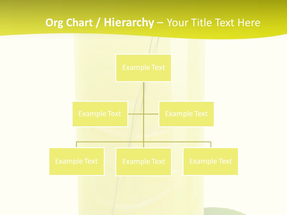 Close Up Vibrant Studio Shot PowerPoint Template