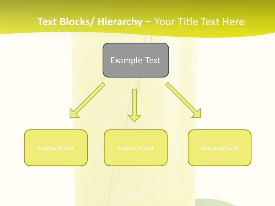 Close Up Vibrant Studio Shot PowerPoint Template