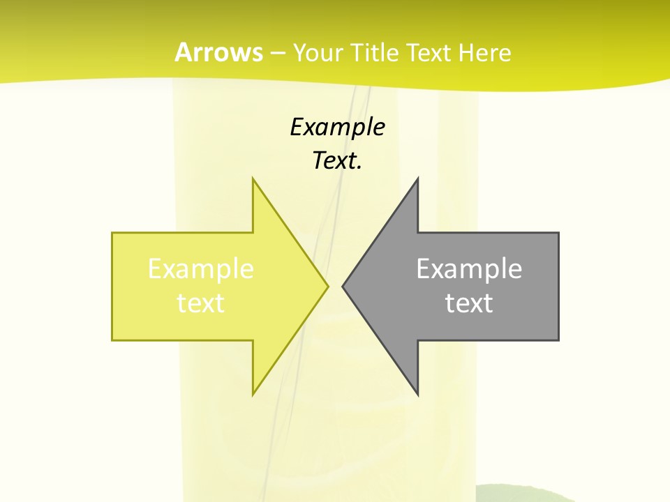 Close Up Vibrant Studio Shot PowerPoint Template