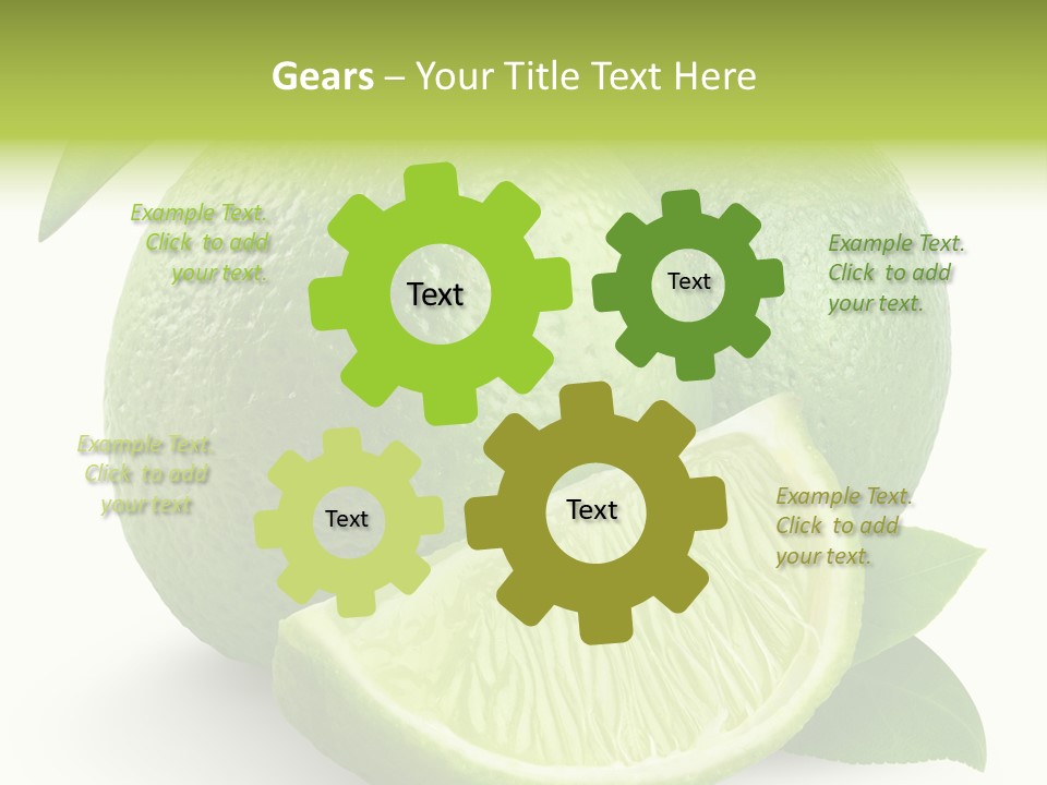 Isolated Slice Refreshing PowerPoint Template