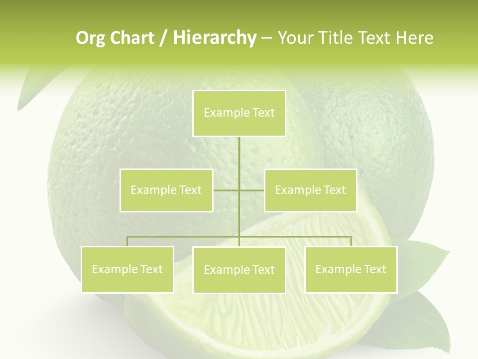 Isolated Slice Refreshing PowerPoint Template