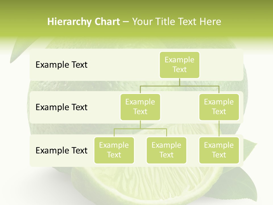 Isolated Slice Refreshing PowerPoint Template