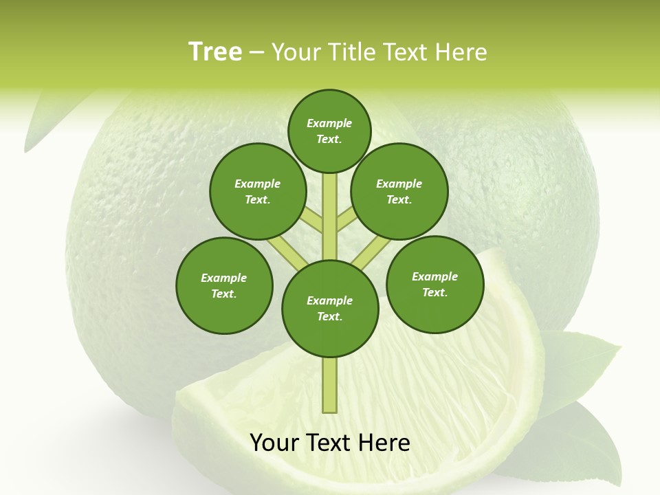 Isolated Slice Refreshing PowerPoint Template