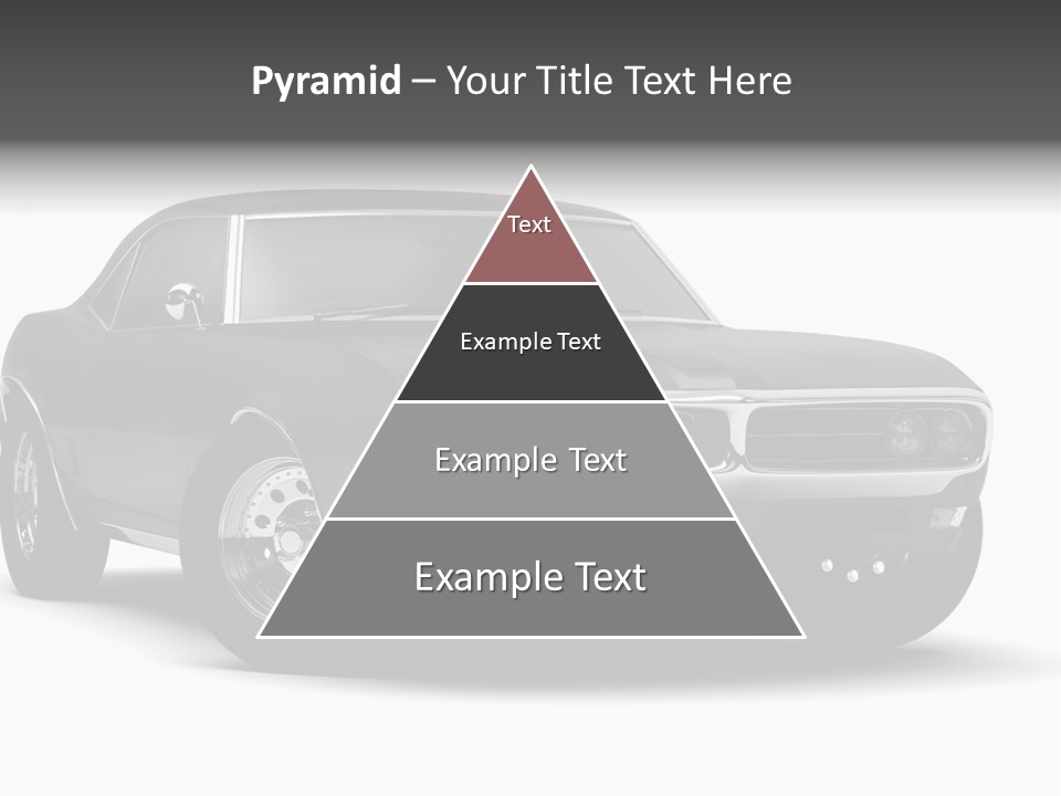 Young Border Blossom PowerPoint Template