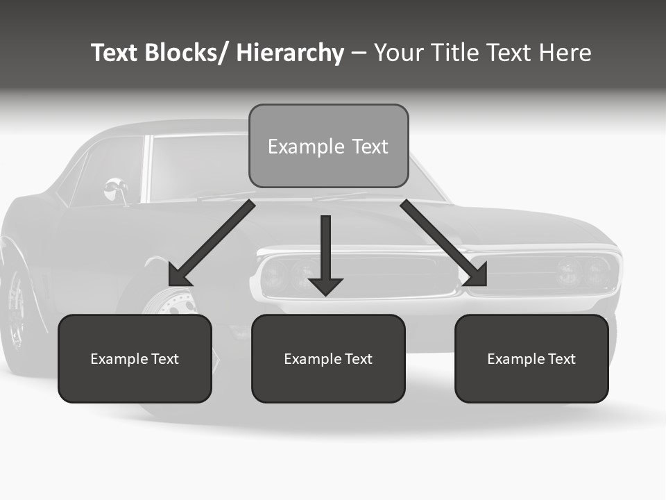 Young Border Blossom PowerPoint Template