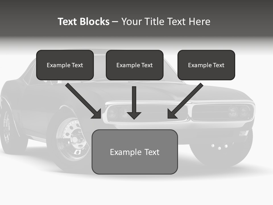 Young Border Blossom PowerPoint Template