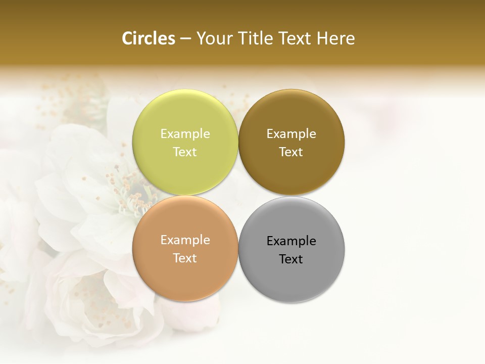 Beautiful White Background Summer PowerPoint Template