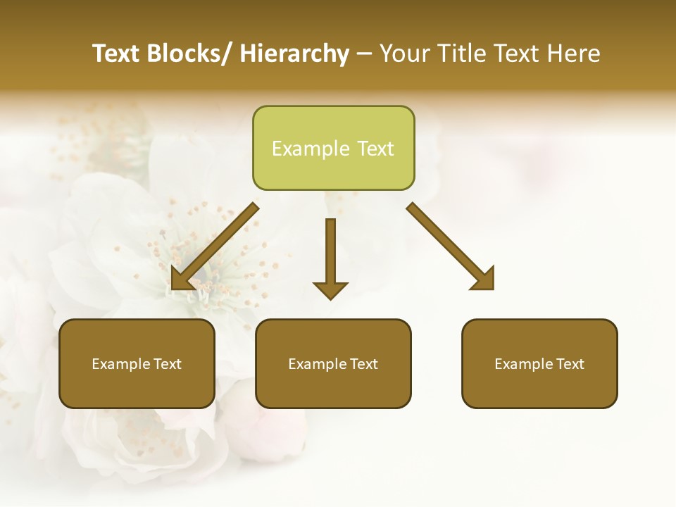 Beautiful White Background Summer PowerPoint Template