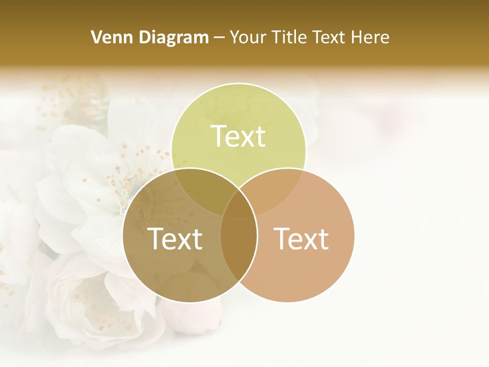 Beautiful White Background Summer PowerPoint Template