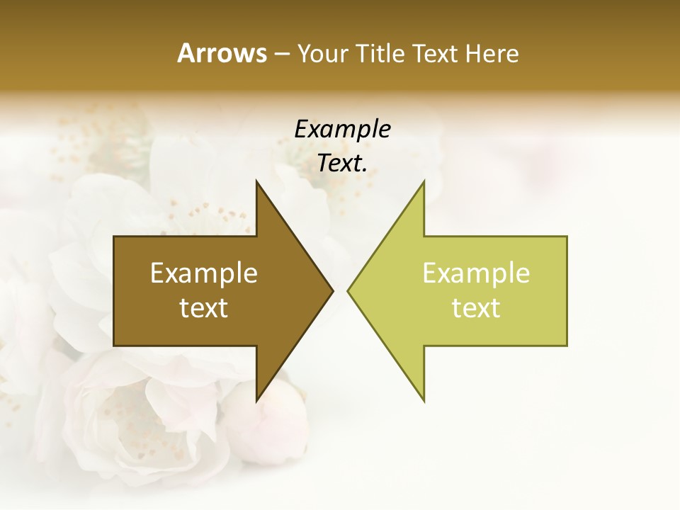 Beautiful White Background Summer PowerPoint Template