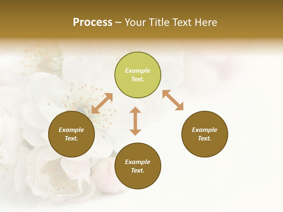 Beautiful White Background Summer PowerPoint Template