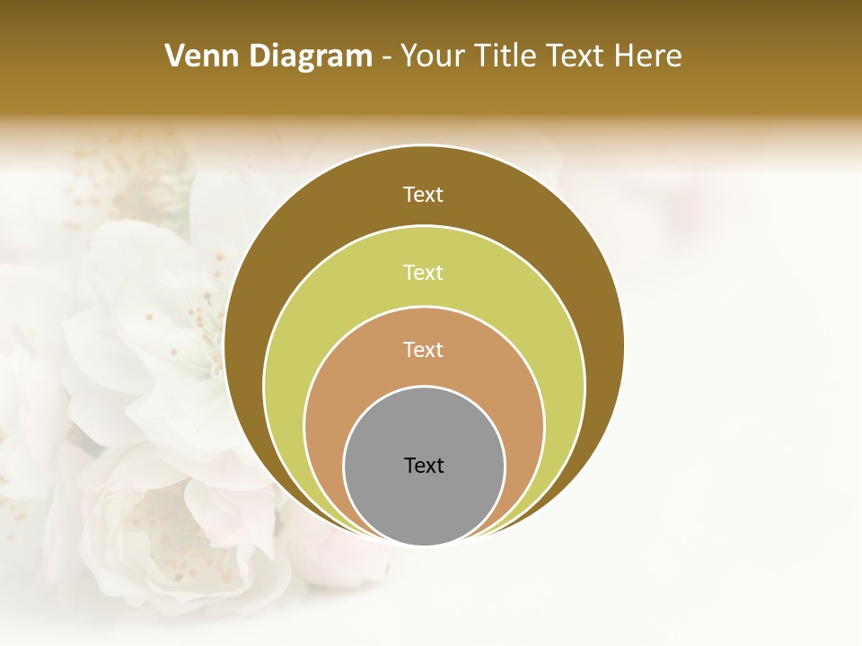 Beautiful White Background Summer PowerPoint Template